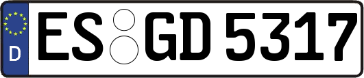 ES-GD5317