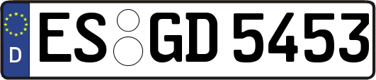 ES-GD5453