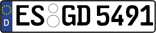 ES-GD5491