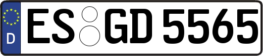 ES-GD5565