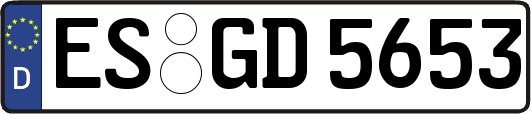 ES-GD5653