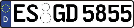 ES-GD5855