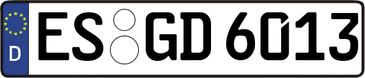 ES-GD6013