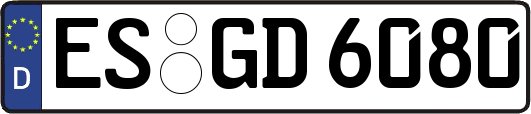 ES-GD6080