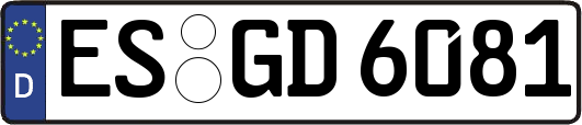 ES-GD6081