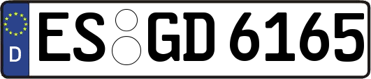 ES-GD6165