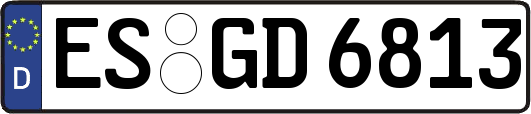 ES-GD6813