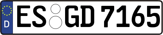 ES-GD7165