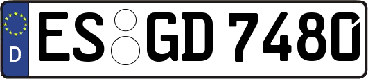 ES-GD7480
