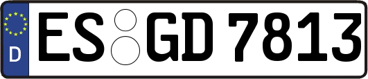 ES-GD7813