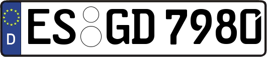 ES-GD7980
