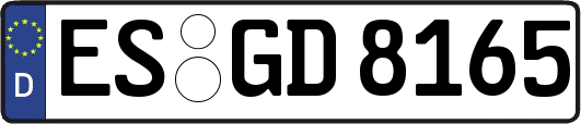 ES-GD8165