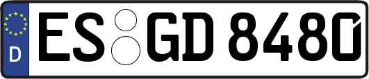 ES-GD8480