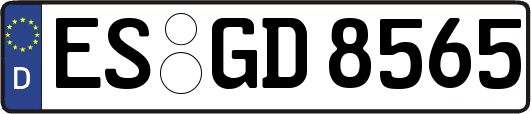ES-GD8565