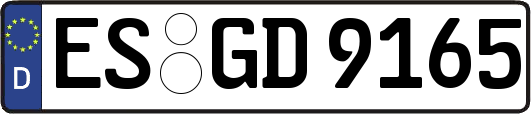 ES-GD9165