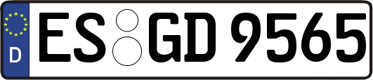 ES-GD9565