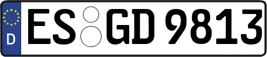 ES-GD9813