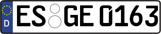 ES-GE0163