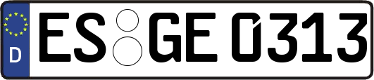 ES-GE0313