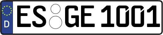 ES-GE1001