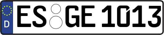 ES-GE1013
