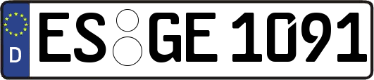 ES-GE1091