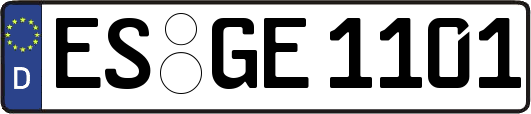 ES-GE1101