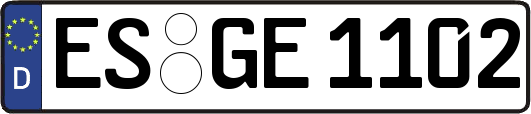 ES-GE1102