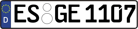ES-GE1107