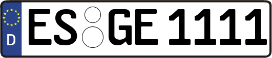 ES-GE1111