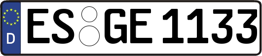 ES-GE1133