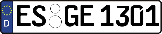 ES-GE1301