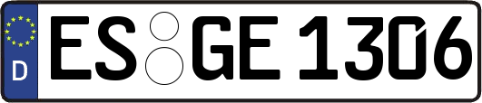 ES-GE1306