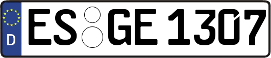 ES-GE1307