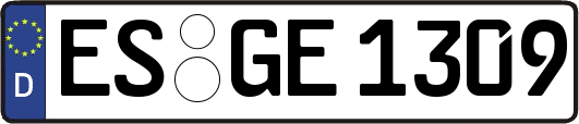 ES-GE1309
