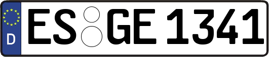ES-GE1341