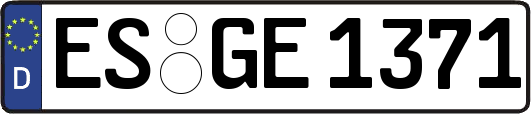 ES-GE1371