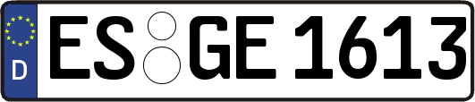 ES-GE1613