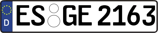 ES-GE2163
