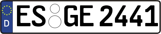 ES-GE2441