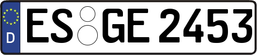 ES-GE2453