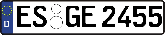 ES-GE2455