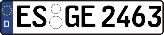 ES-GE2463