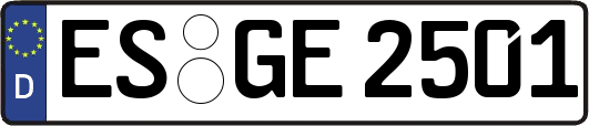 ES-GE2501