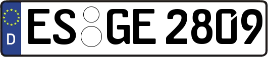 ES-GE2809