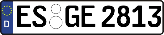ES-GE2813