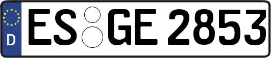 ES-GE2853
