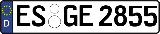 ES-GE2855