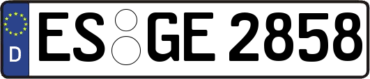 ES-GE2858
