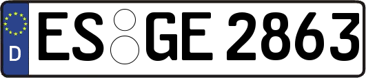 ES-GE2863